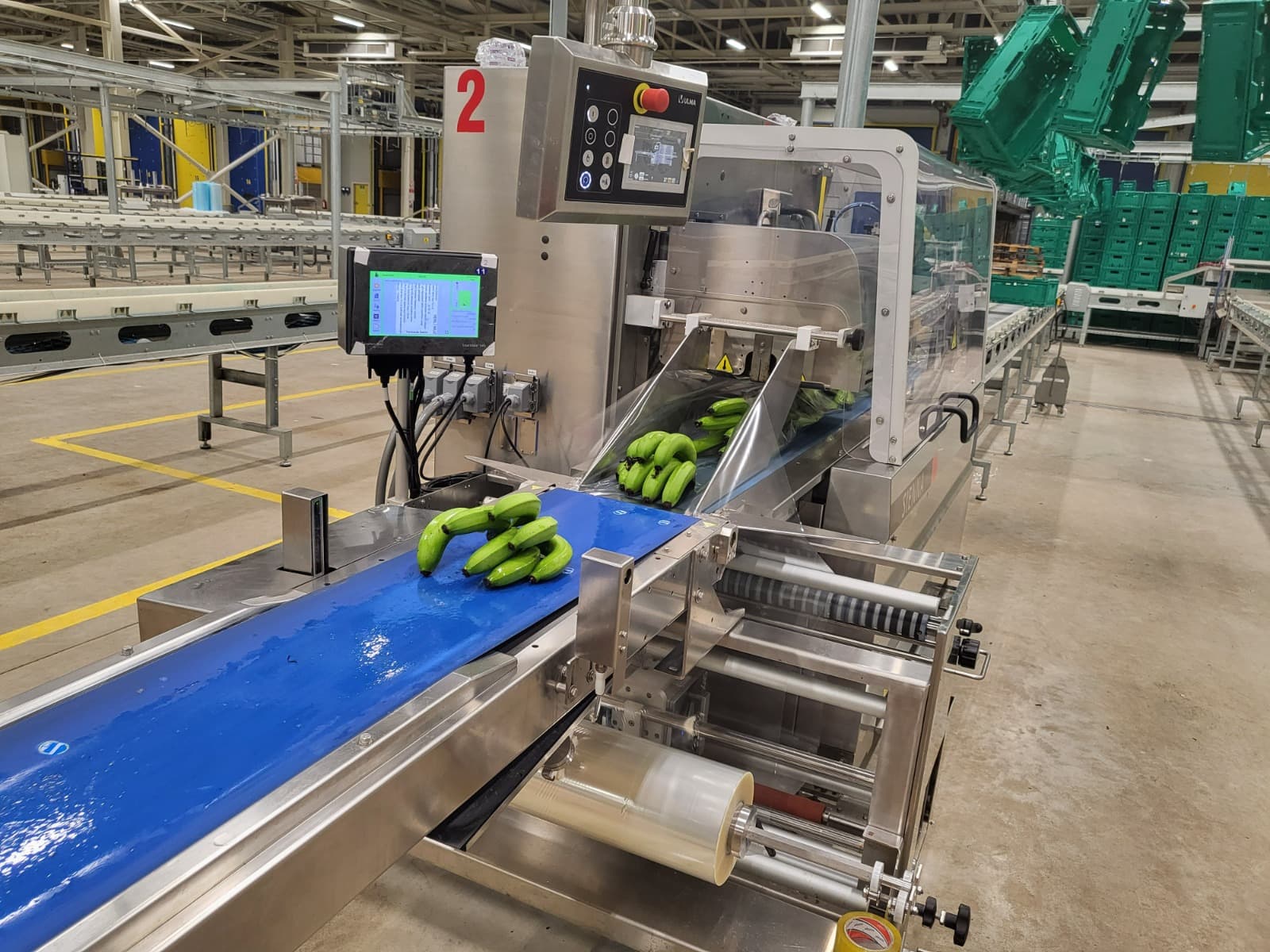 Hassas Paketleme ve Tartım İstasyonu - Vero Gıda Muz İşleme ve Paketleme Aşaması