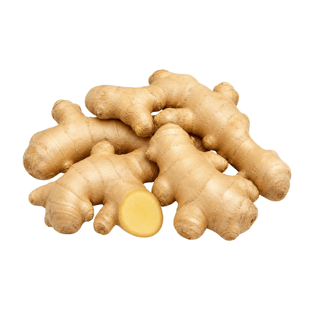 Zencefil